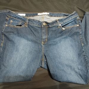 Torrid 20S Curvy Skinny Jeans